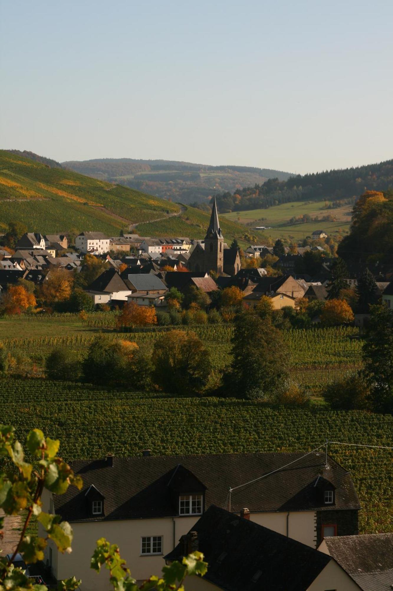 Weingut & Gaestehaus Stephan Kohl Ноймаген-Дхрон Экстерьер фото